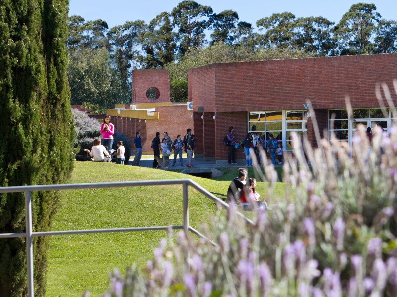 Campus y estudiantes 3